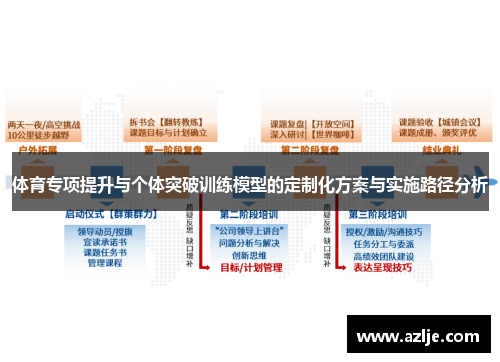 体育专项提升与个体突破训练模型的定制化方案与实施路径分析